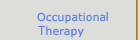 occupation