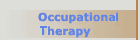 occupation